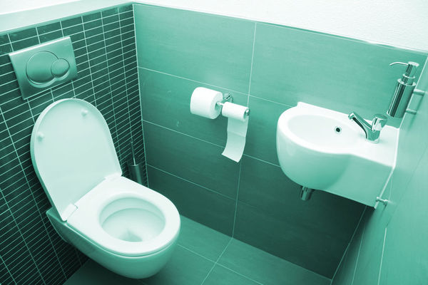 Sanitaire Vert