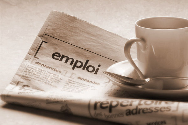 Offre d'emploi Sepia