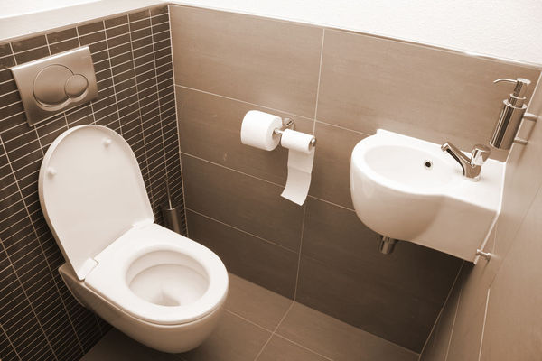 Sanitaire Sepia