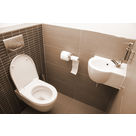 Sanitaire Sepia
