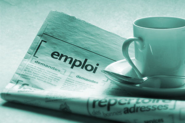 Offre d'Emploi